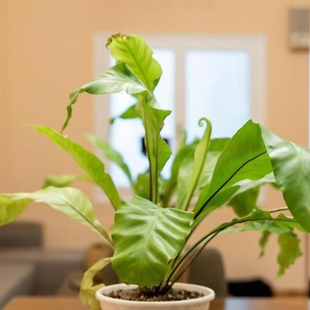 Modern African-Inspired Flat Apartment เอเธนส์ ภายนอก รูปภาพ
